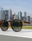 Jase New York Connor Sunglasses in Havana